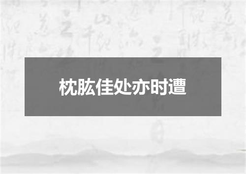 枕肱佳处亦时遭
