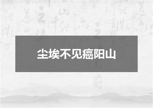 尘埃不见癌阳山