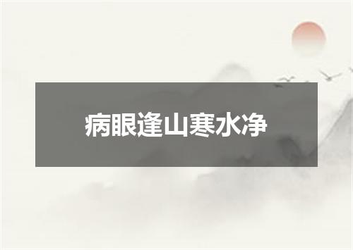 病眼逢山寒水净