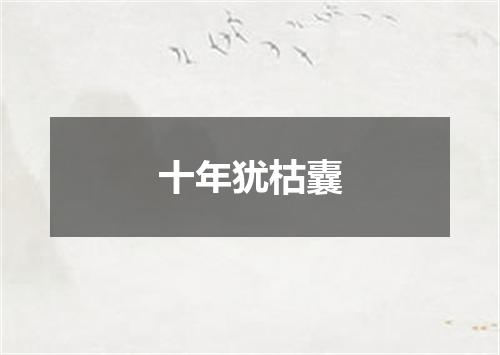 十年犹枯囊