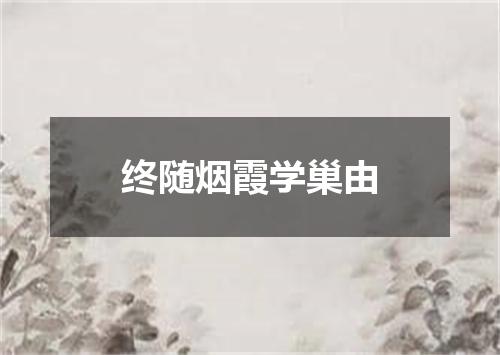 终随烟霞学巢由
