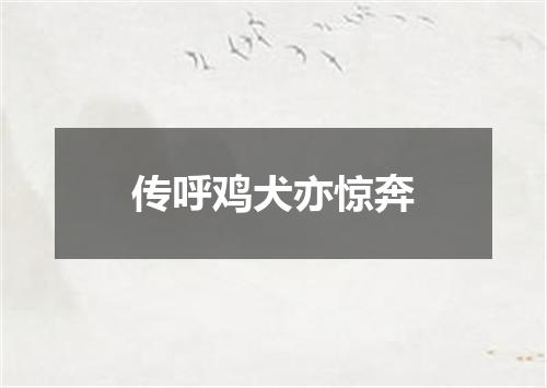 传呼鸡犬亦惊奔