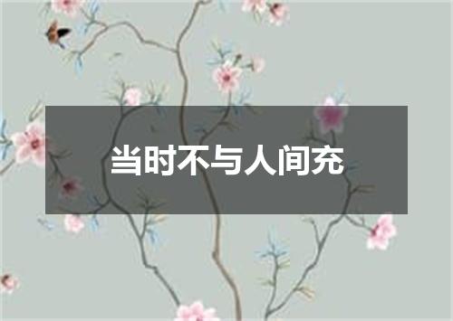 当时不与人间充