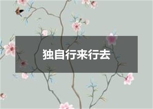 独自行来行去