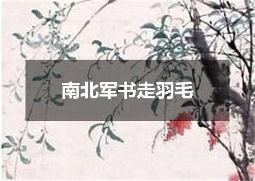 南北军书走羽毛