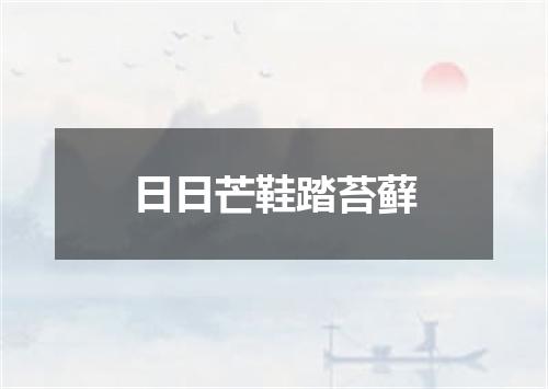 日日芒鞋踏苔藓