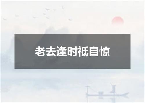 老去逢时祗自惊