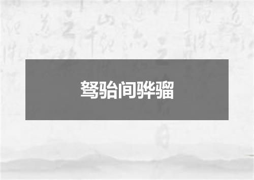 驽骀间骅骝