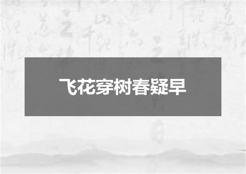 飞花穿树春疑早