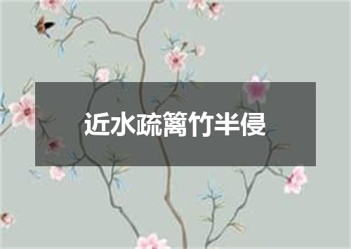 近水疏篱竹半侵