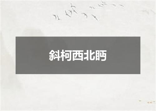 斜柯西北眄