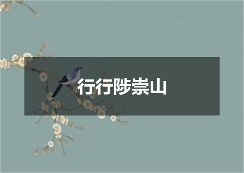 行行陟崇山