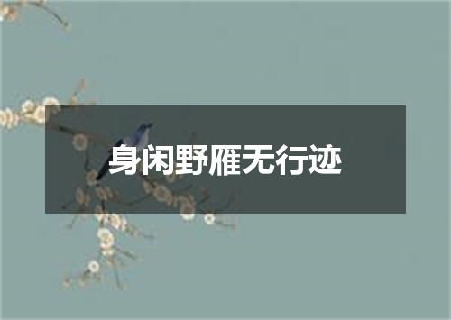 身闲野雁无行迹