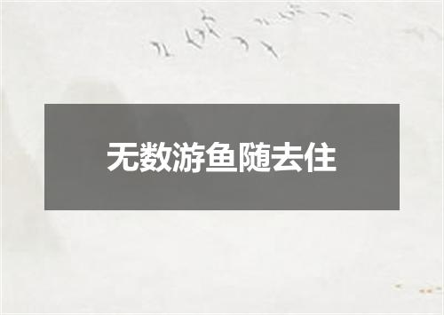 无数游鱼随去住