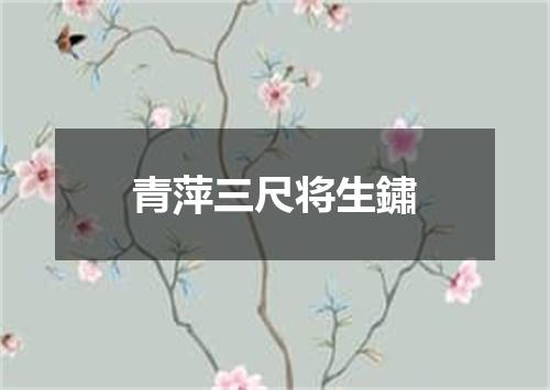 青萍三尺将生鏽