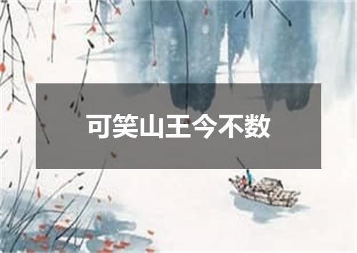 可笑山王今不数