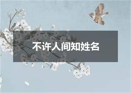 不许人间知姓名