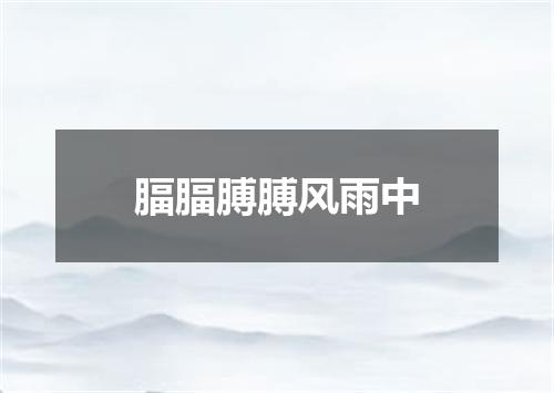 腷腷膊膊风雨中