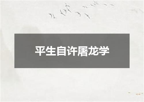 平生自许屠龙学
