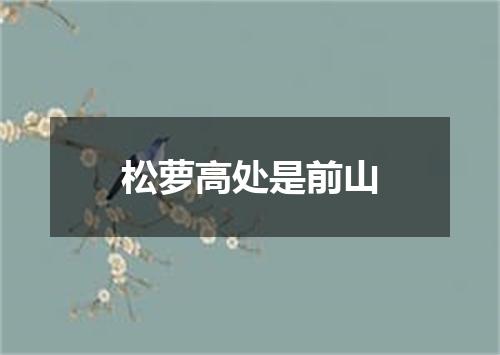 松萝高处是前山