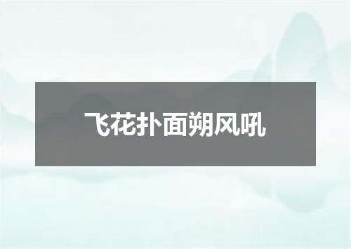 飞花扑面朔风吼