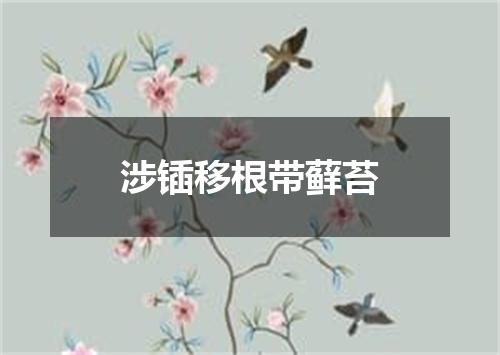 涉锸移根带藓苔