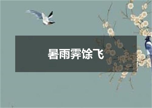 暑雨霁馀飞