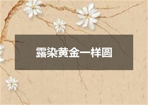露染黄金一样圆