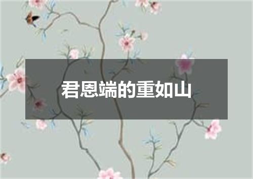 君恩端的重如山