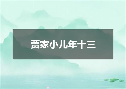 贾家小儿年十三