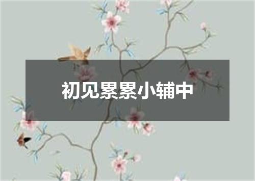 初见累累小辅中