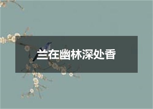 兰在幽林深处香