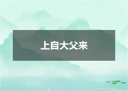 上自大父来