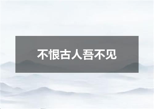 不恨古人吾不见