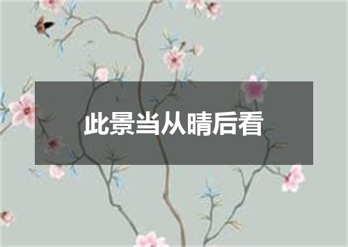 此景当从晴后看