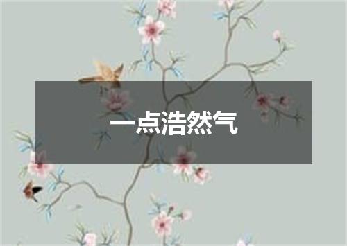 一点浩然气