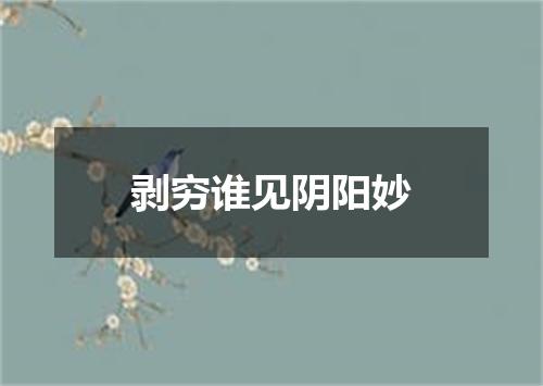 剥穷谁见阴阳妙