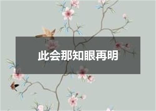 此会那知眼再明