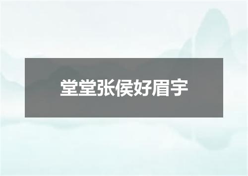 堂堂张侯好眉宇