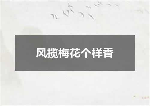 风揽梅花个样香