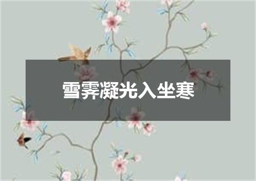 雪霁凝光入坐寒