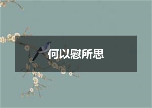 何以慰所思