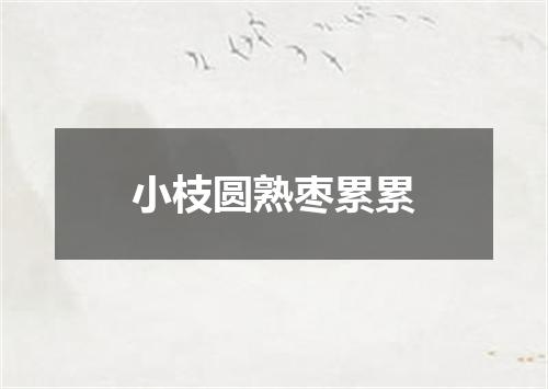 小枝圆熟枣累累