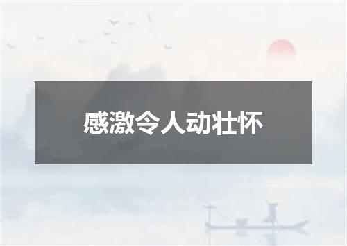 感激令人动壮怀