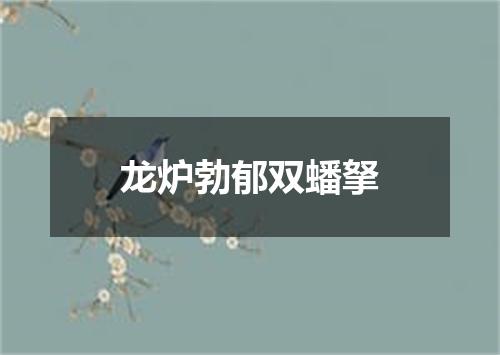 龙炉勃郁双蟠拏