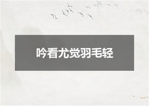 吟看尤觉羽毛轻