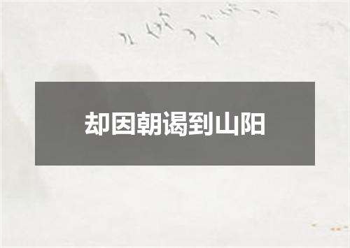 却因朝谒到山阳