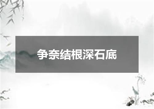 争奈结根深石底