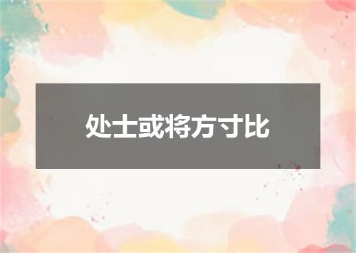 处士或将方寸比
