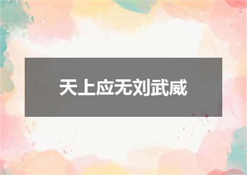 天上应无刘武威